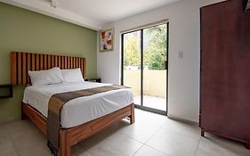 Collection O Hotel Lavanda Anzures